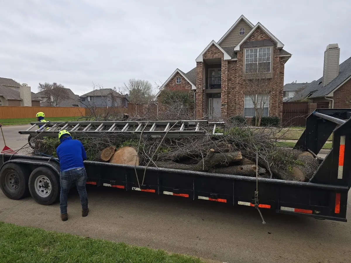 Expert Lot Clearing with proper safety equipment in Oxford